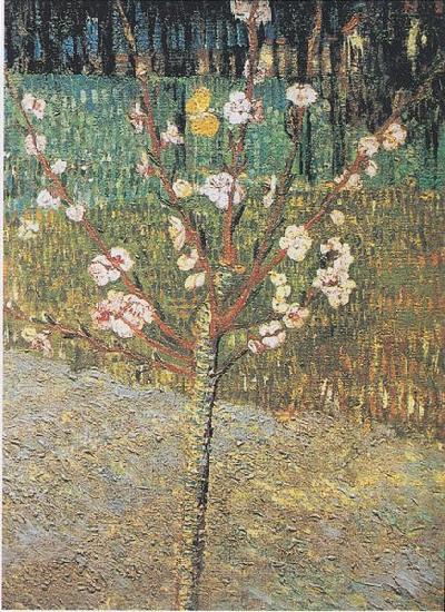 Vincent Van Gogh Flowering almond tree